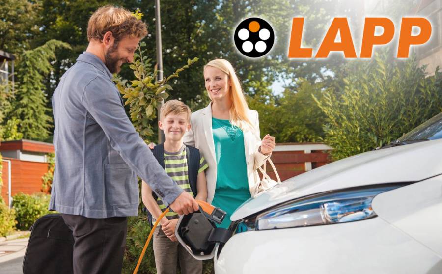 Lapp